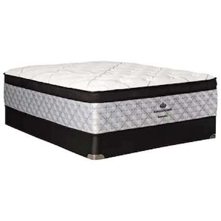 Queen Euro Top Coil on Coil Mattress and 9" Box Spring